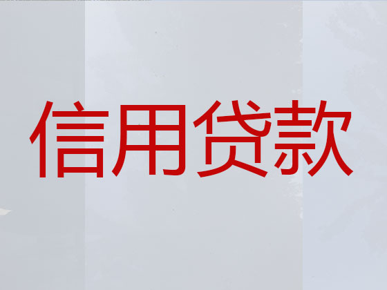 林芝市抵押担保贷款-银行信用贷款